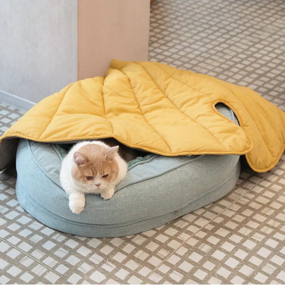 Couverture pour chien en forme de feuille avec lit ovale pour chien - Image 3