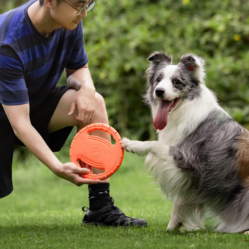 Disque Volant Interactif en Caoutchouc pour Chien avec Poignée - Image 3