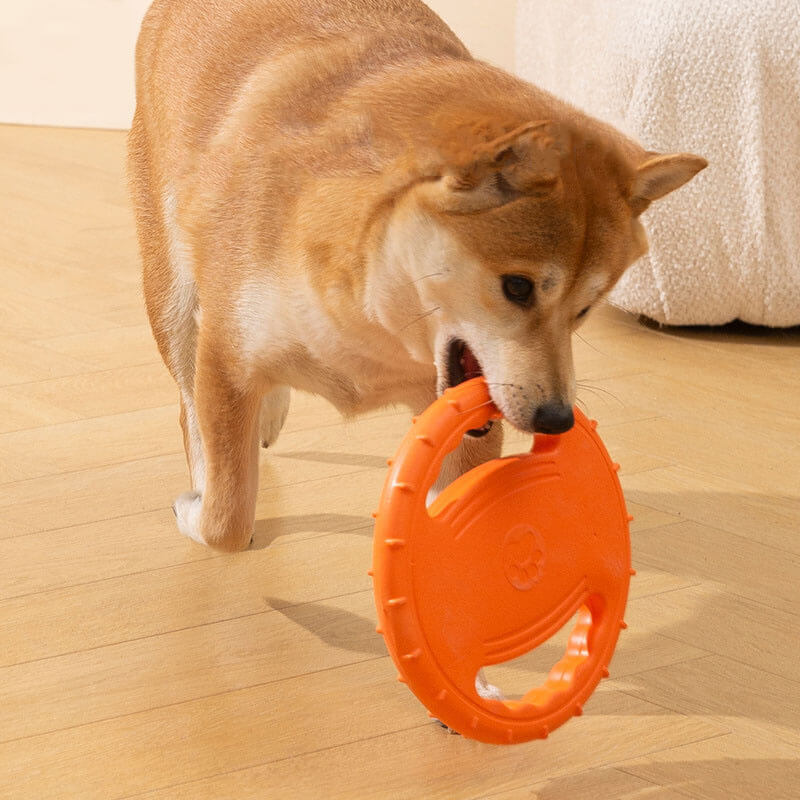 Disque Volant Interactif en Caoutchouc pour Chien avec Poignée - Image 9