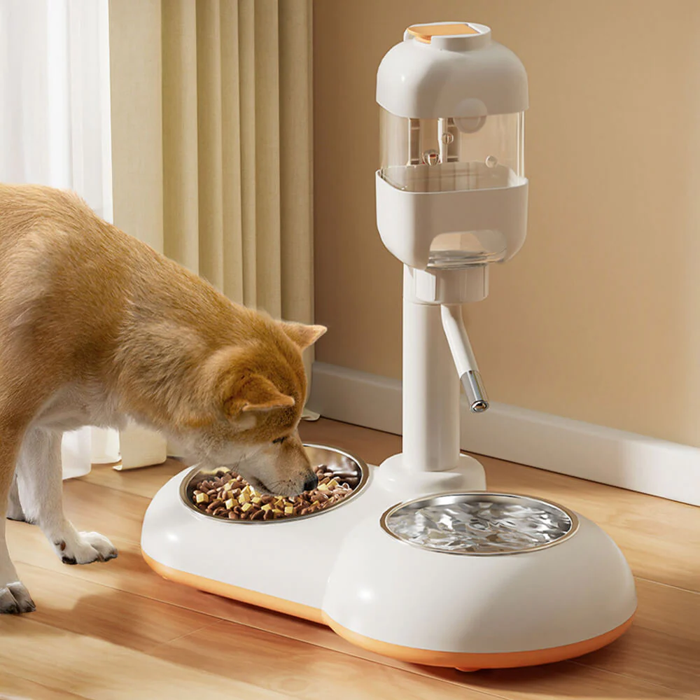 Distributeur automatique pour animaux avec bol d'alimentation et d'eau