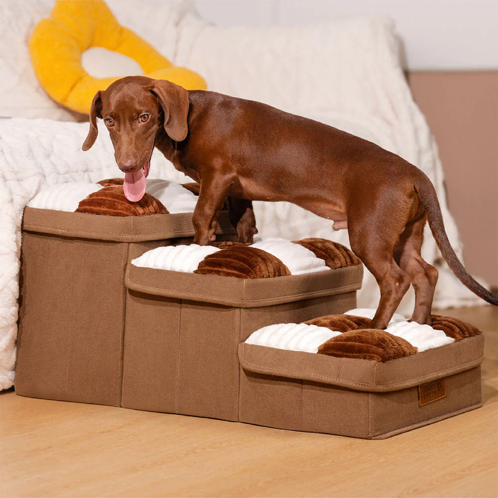 Escalier Pliable pour Chien avec Rangement - Carreaux - Image 3