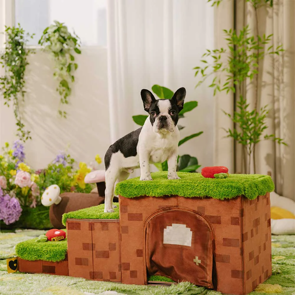 Escalier pliable pour animaux de compagnie fait main avec rangement - Blocky PawGame - Image 12