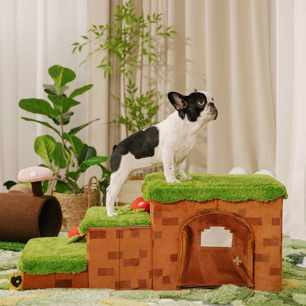Escalier pliable pour animaux de compagnie fait main avec rangement - Blocky PawGame - Image 13