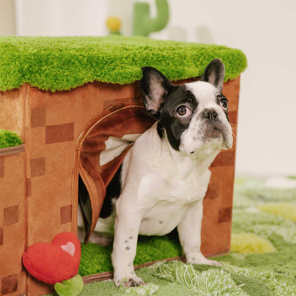 Escalier pliable pour animaux de compagnie fait main avec rangement - Blocky PawGame - Image 5