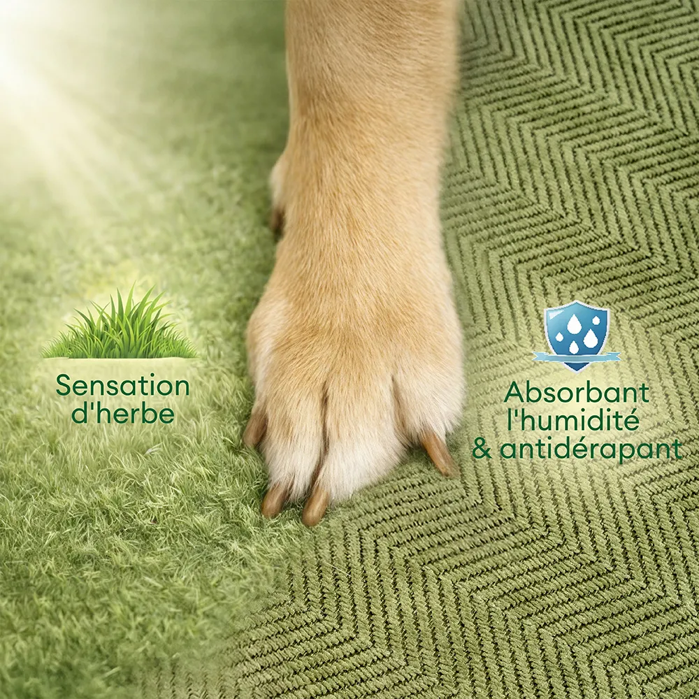 Escaliers pour chien antidérapants extra larges, portables, toutes saisons – Rétro - Image 3