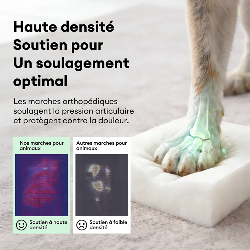 Escaliers pour chien antidérapants extra larges, portables, toutes saisons – Rétro - Image 4