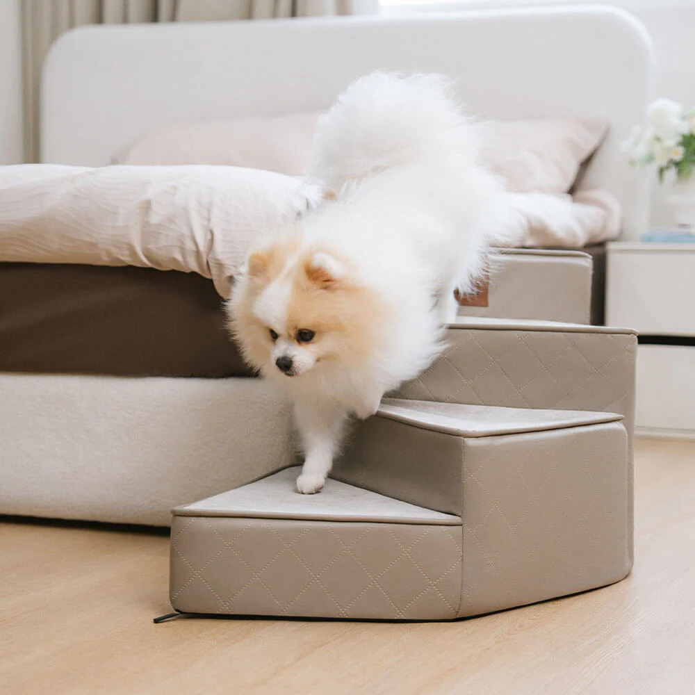 Escaliers pour animaux en similicuir imperméable et amovibles - StepEase - Image 11