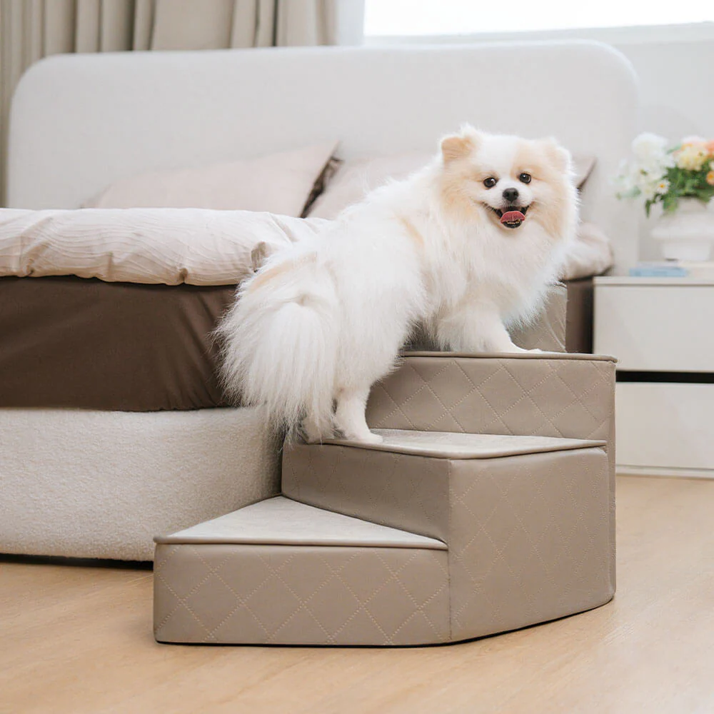 Escaliers pour animaux en similicuir imperméable et amovibles - StepEase - Image 13