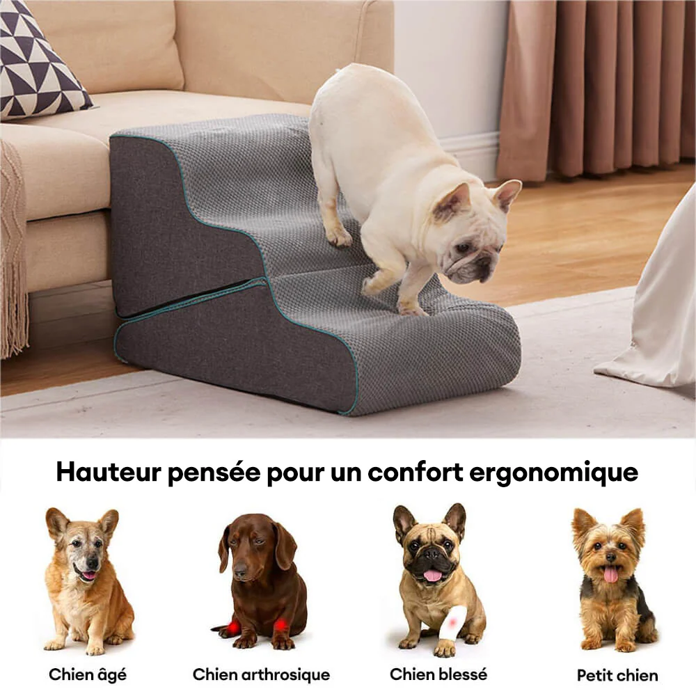 Escaliers pour chien pliables 2 en 1 multifonction avec fonction rampe - Image 4