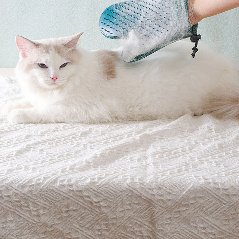 Gant de toilettage pour animaux en silicone avec brosse double face flottante-Exclusif app - Image 8
