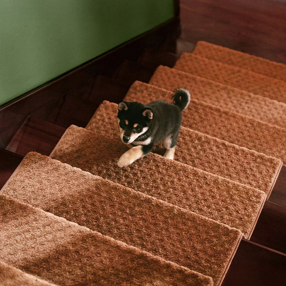 Garde-corps en velours doux pour les escaliers intérieurs, adaptés aux animaux de compagnie, sans adhésif, tapis antidérapants pour escaliers. - Image 20