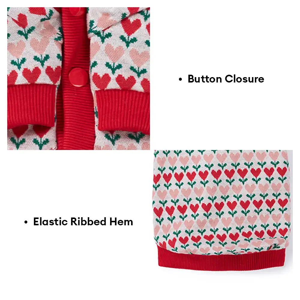 Gilet en laine pour chien avec motif de cœur de Fair Isle pour teckel. - Image 2