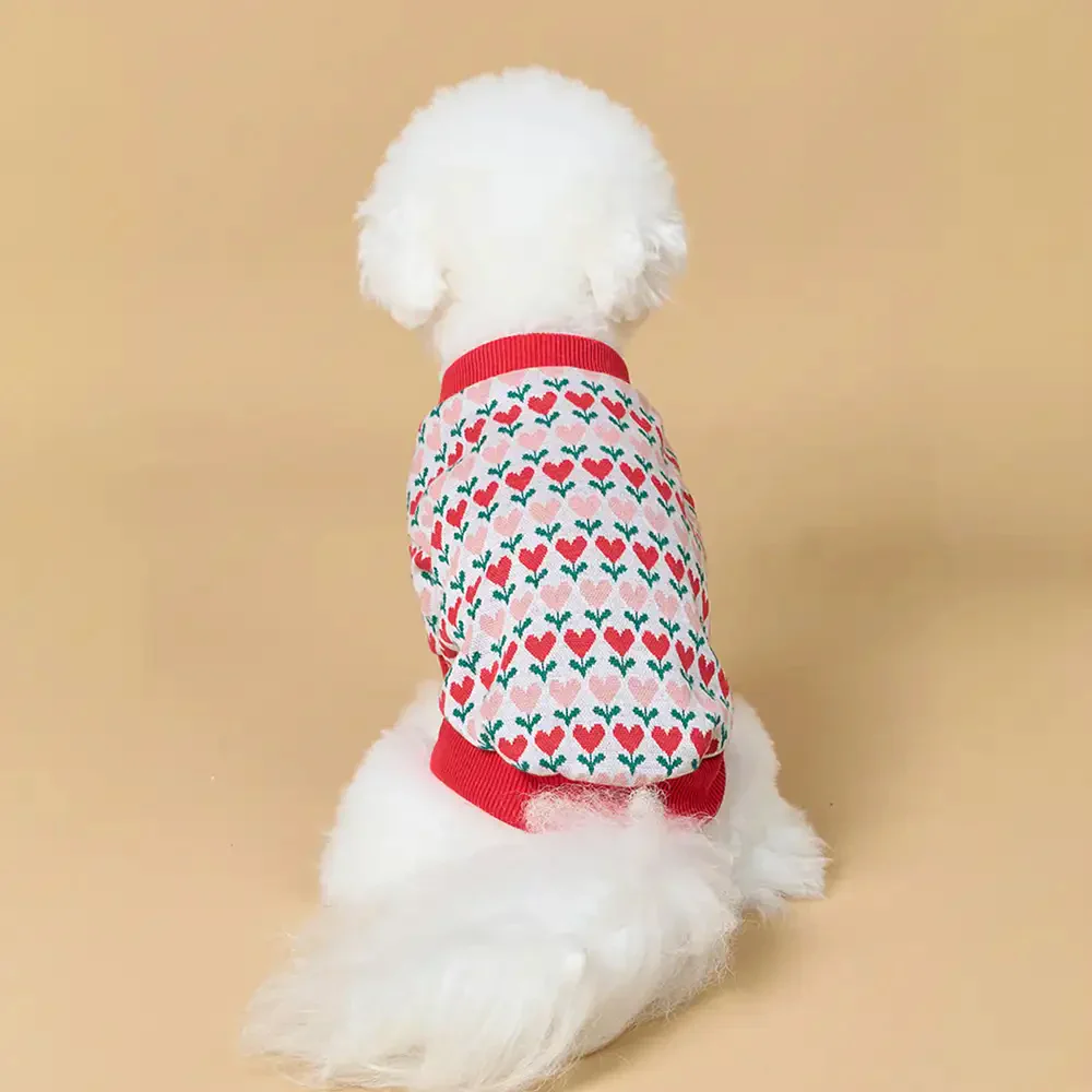 Gilet en laine pour chien avec motif de cœur de Fair Isle pour teckel. - Image 4