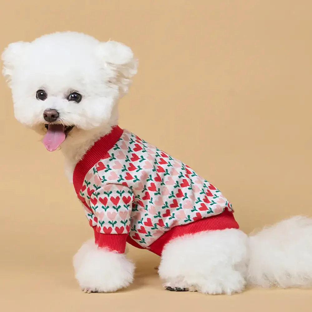 Gilet en laine pour chien avec motif de cœur de Fair Isle pour teckel. - Image 5