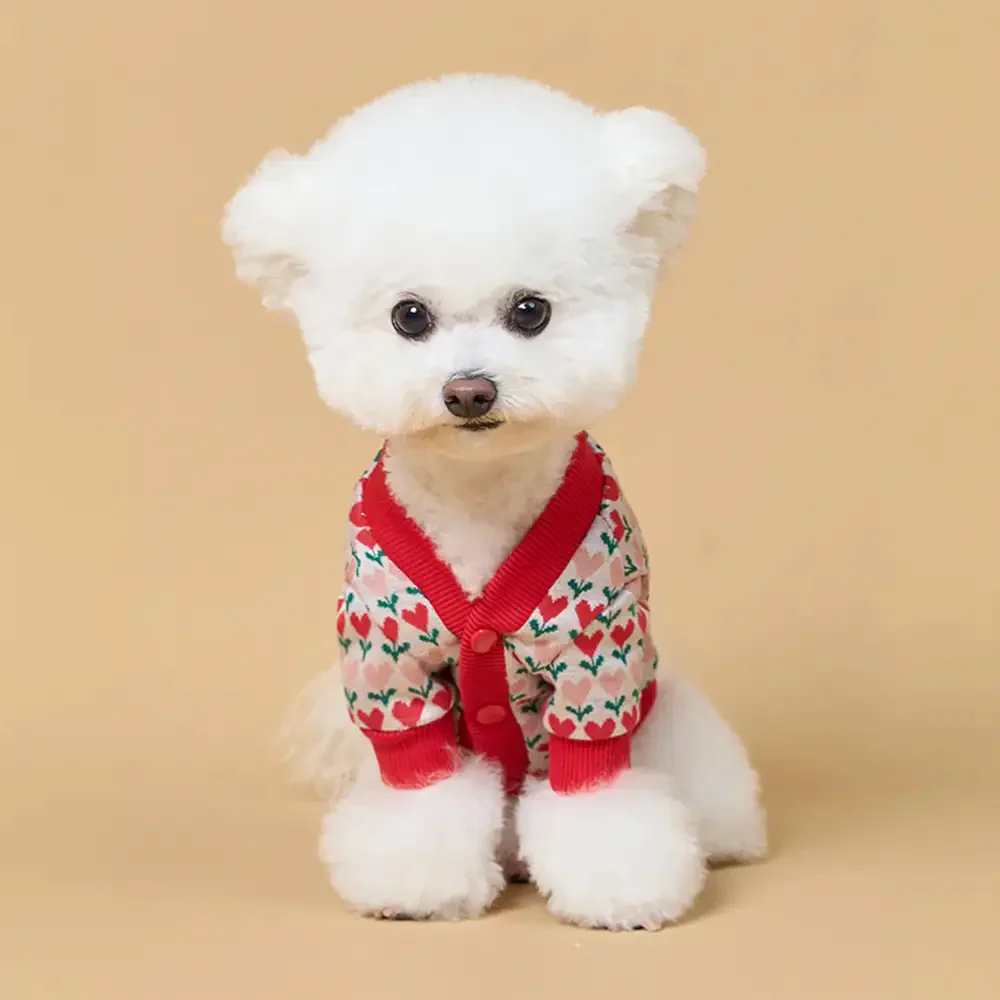Gilet en laine pour chien avec motif de cœur de Fair Isle pour teckel. - Image 7