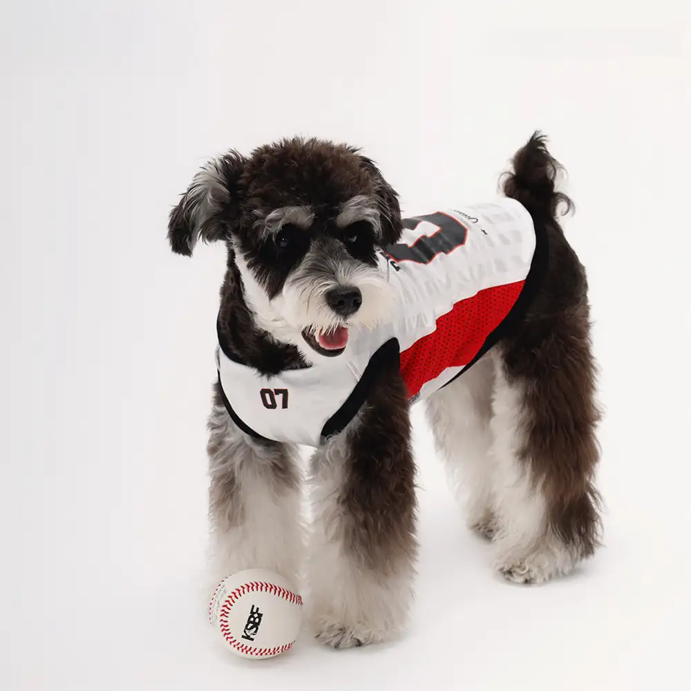 Gilet pour chien respirant à blocs de couleurs élégants - Image 8