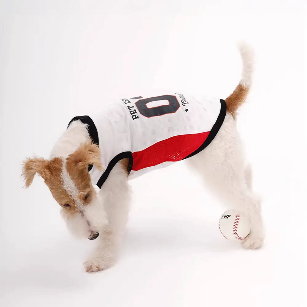 Gilet pour chien respirant à blocs de couleurs élégants - Image 9