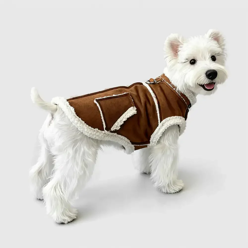 Gilet pour chien teckel en velours rétro - Image 10