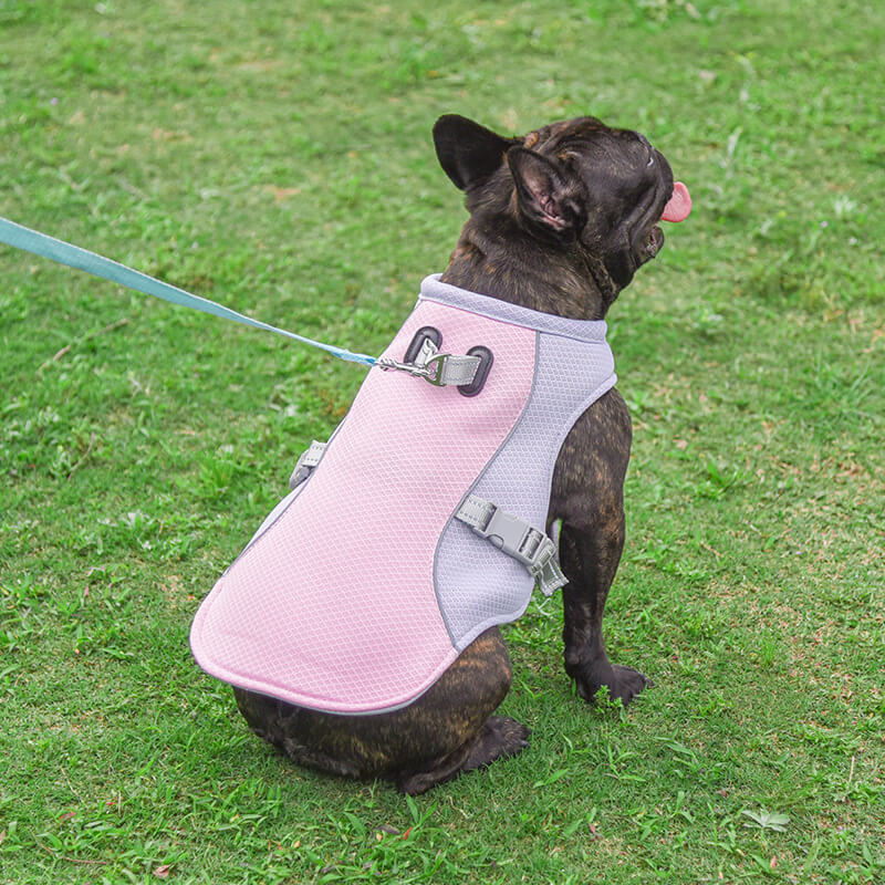 Gilet Respirant Prévention Insolation Gilet Refroidissant Pour Chien Imbibable - Image 10