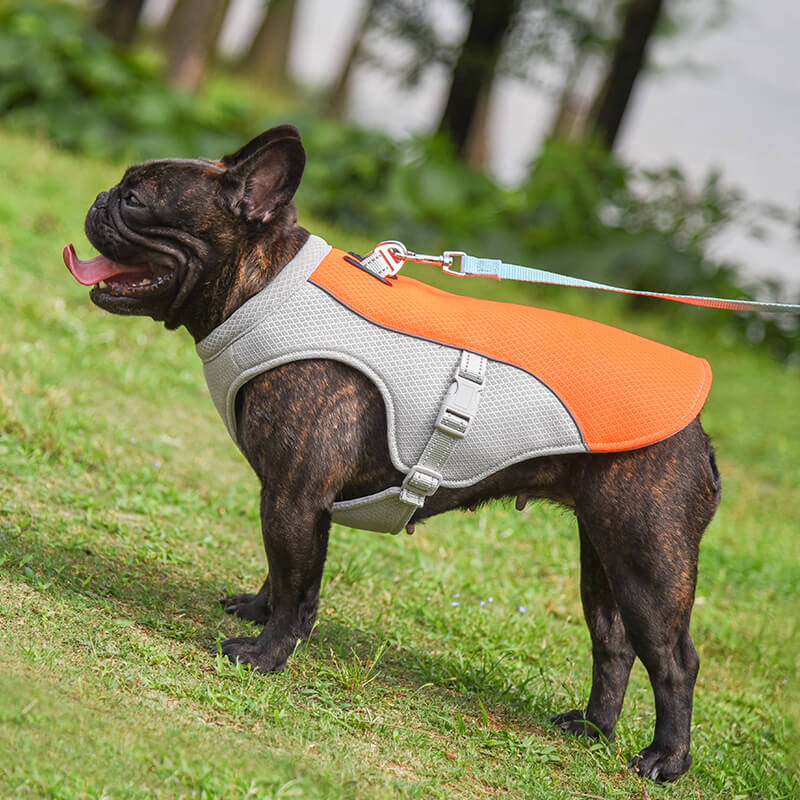 Gilet Respirant Prévention Insolation Gilet Refroidissant Pour Chien Imbibable - Image 14