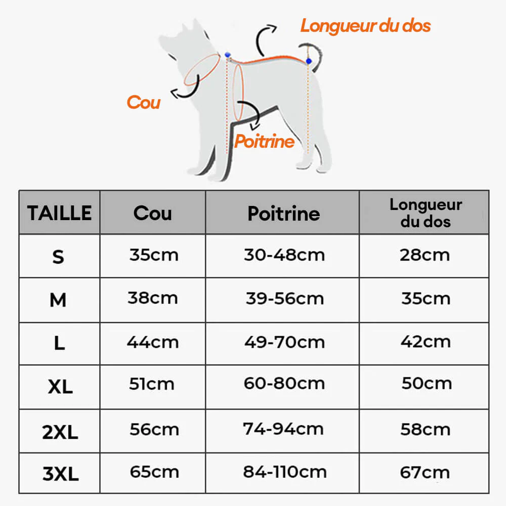 Gilet Respirant Prévention Insolation Gilet Refroidissant Pour Chien Imbibable - Image 17