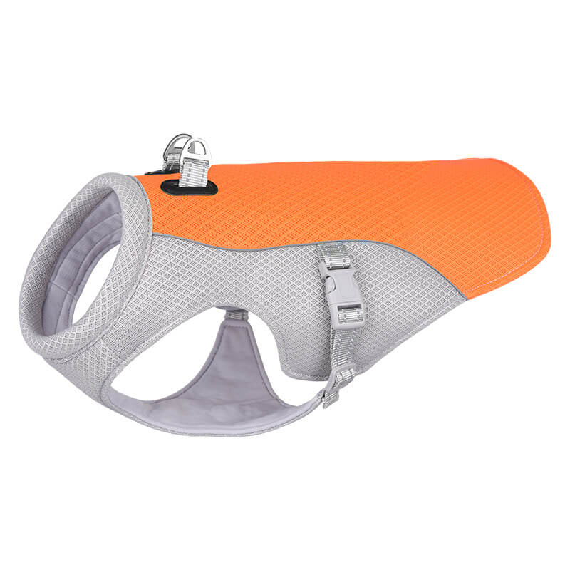Gilet Respirant Prévention Insolation Gilet Refroidissant Pour Chien Imbibable - Image 19