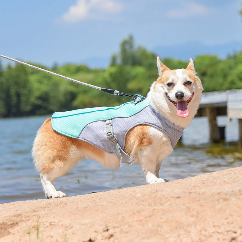 Gilet Respirant Prévention Insolation Gilet Refroidissant Pour Chien Imbibable - Image 3