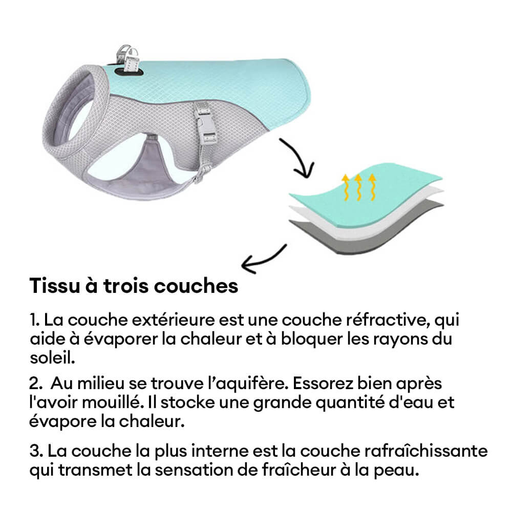 Gilet Respirant Prévention Insolation Gilet Refroidissant Pour Chien Imbibable - Image 5