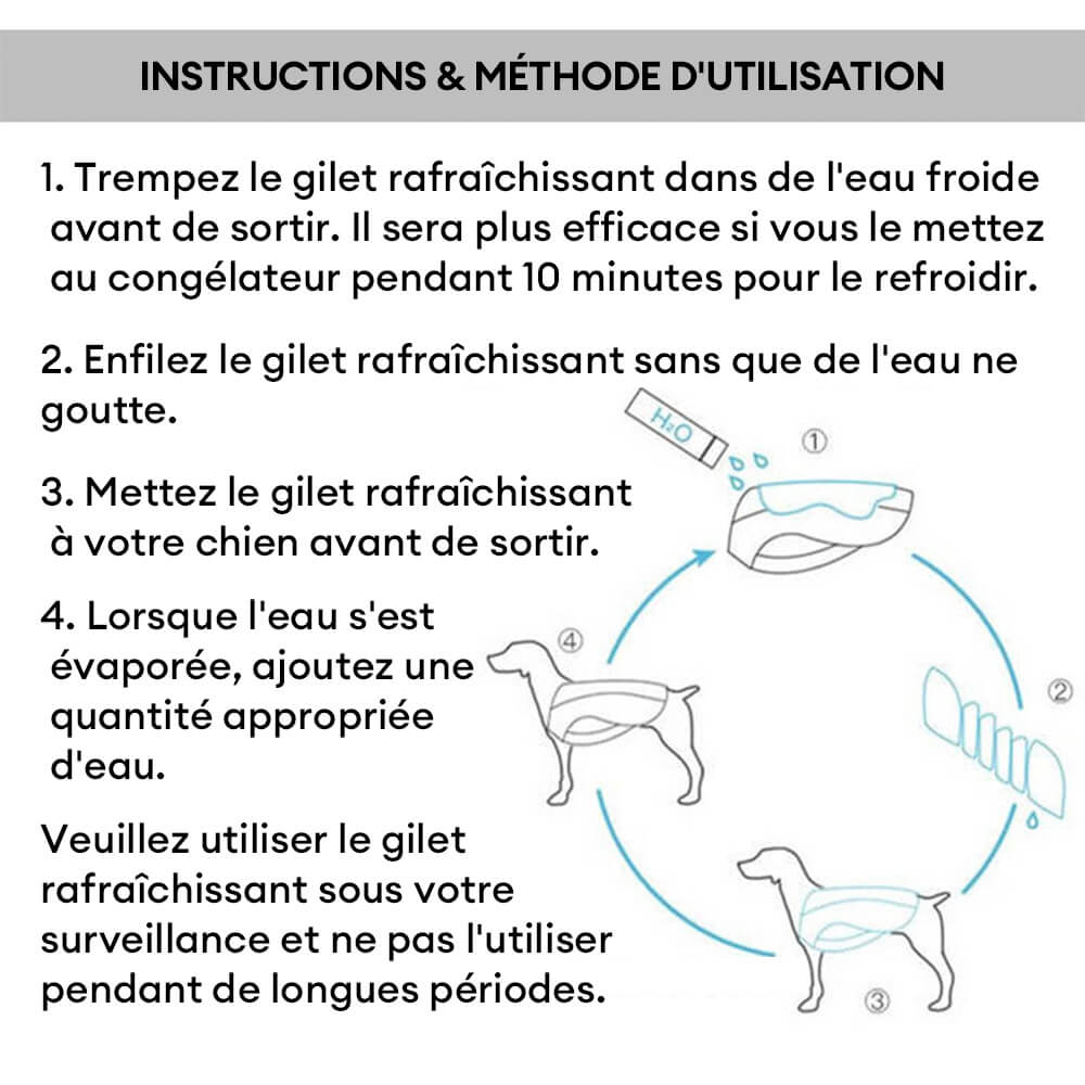 Gilet Respirant Prévention Insolation Gilet Refroidissant Pour Chien Imbibable - Image 6