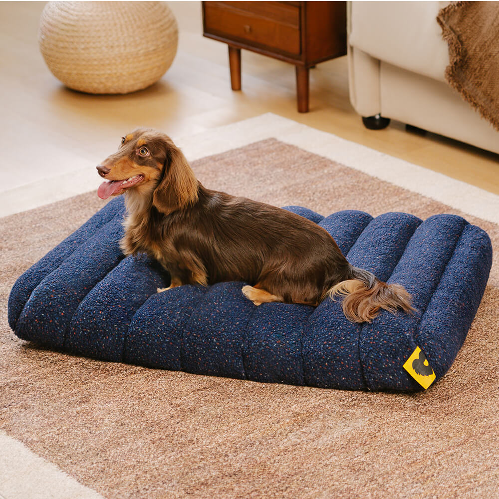 Grand Coussin Plat Lavable Crème Confortable pour Chien - Cheesecake - Image 13
