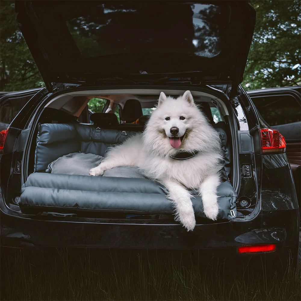 Grand Rehausseur pour Siège Auto en Simili Cuir Deluxe - Urban Voyager - Image 19