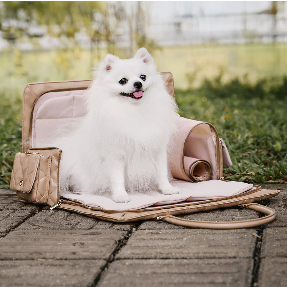 Grand Sac de Voyage Multifonctionnel Stylé Humain-Chien - Queue Errante - Image 17