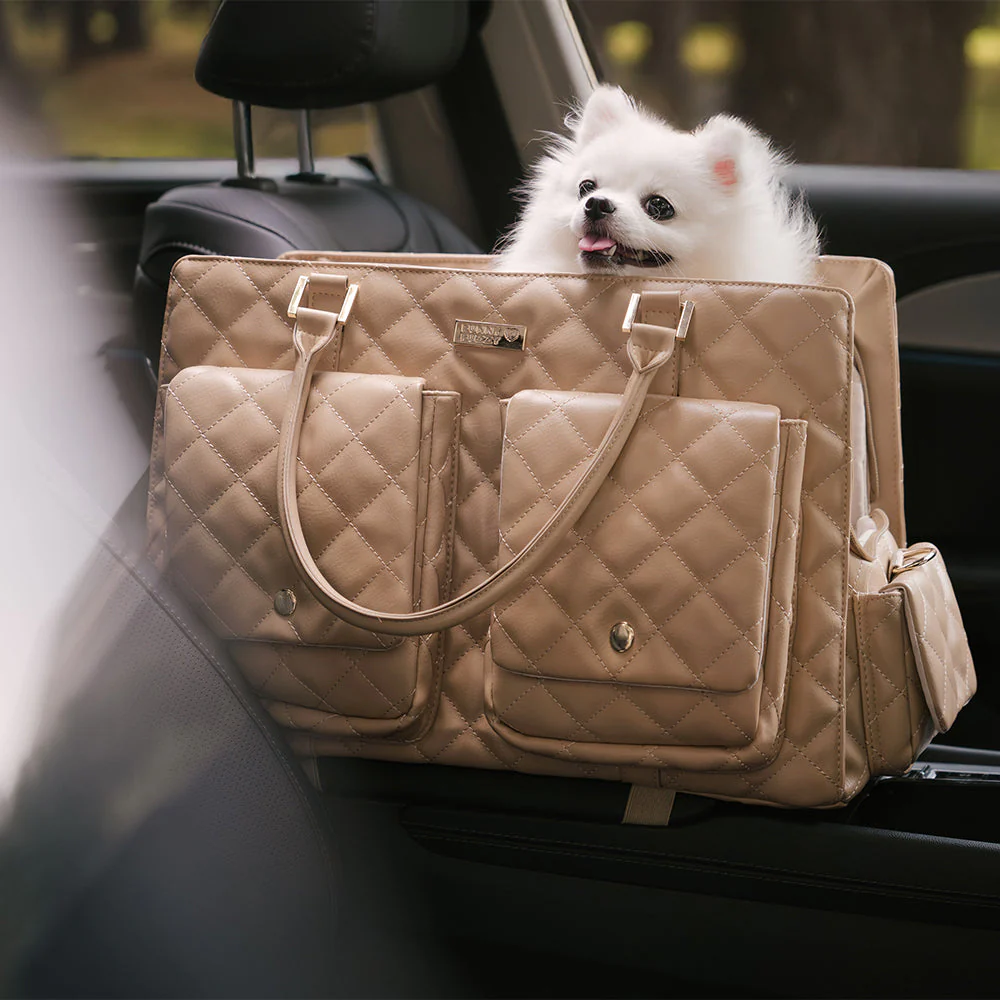 Grand Sac de Voyage Multifonctionnel Stylé Humain-Chien - Queue Errante - Image 20