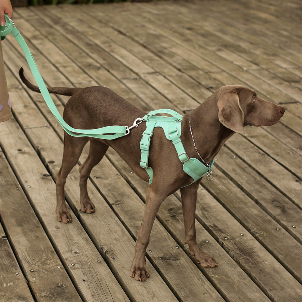 Harnais pour Chien - Gummy - Image 3