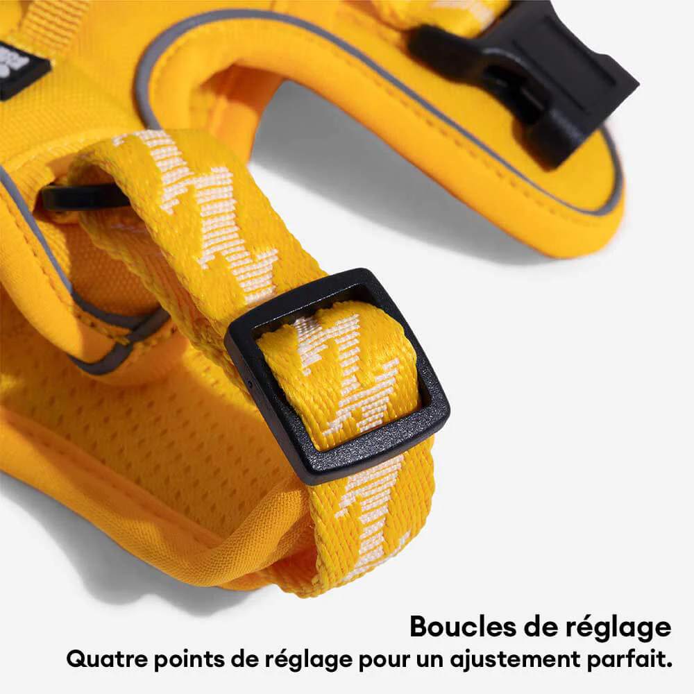 Harnais réfléchissant réglable pour chien FUNNYFUZZY - Flexi Walker - Image 13