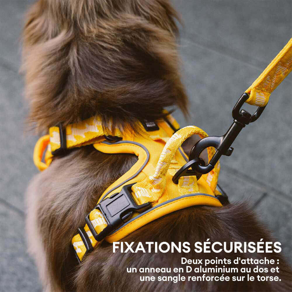 Harnais réfléchissant réglable pour chien FUNNYFUZZY - Flexi Walker - Image 14
