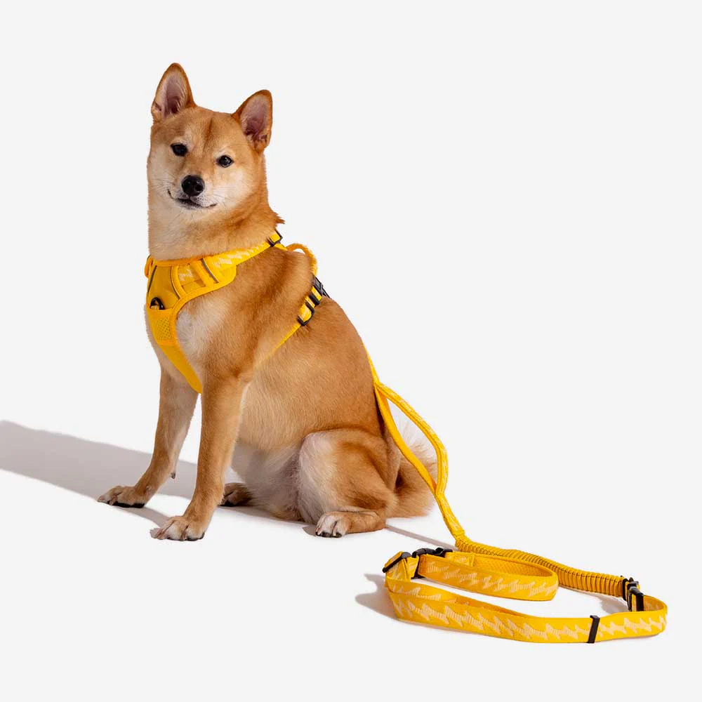 Harnais réfléchissant réglable pour chien FUNNYFUZZY - Flexi Walker - Image 16