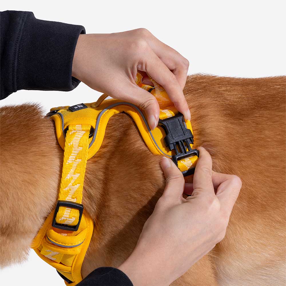 Harnais réfléchissant réglable pour chien FUNNYFUZZY - Flexi Walker - Image 17