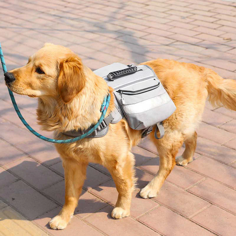 Harnais Tactique Autonome pour Chiens Grands - Image 11