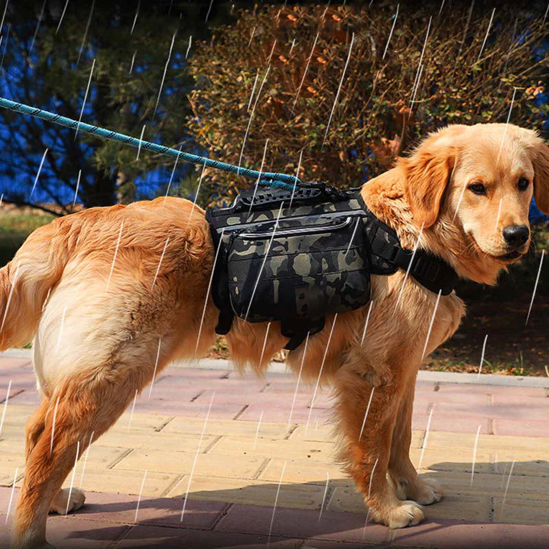 Harnais Tactique Autonome pour Chiens Grands - Image 6