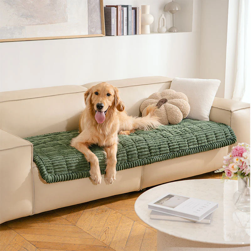 Housse de canapé en biscuits gaufrés flanelle douce et confortable avec tapis respirant pour animaux - Image 3