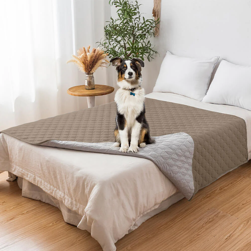 Housse de canapé matelassée en losanges imperméable et antidérapante pour animaux de compagnie – Protection élégante des meubles - Image 4
