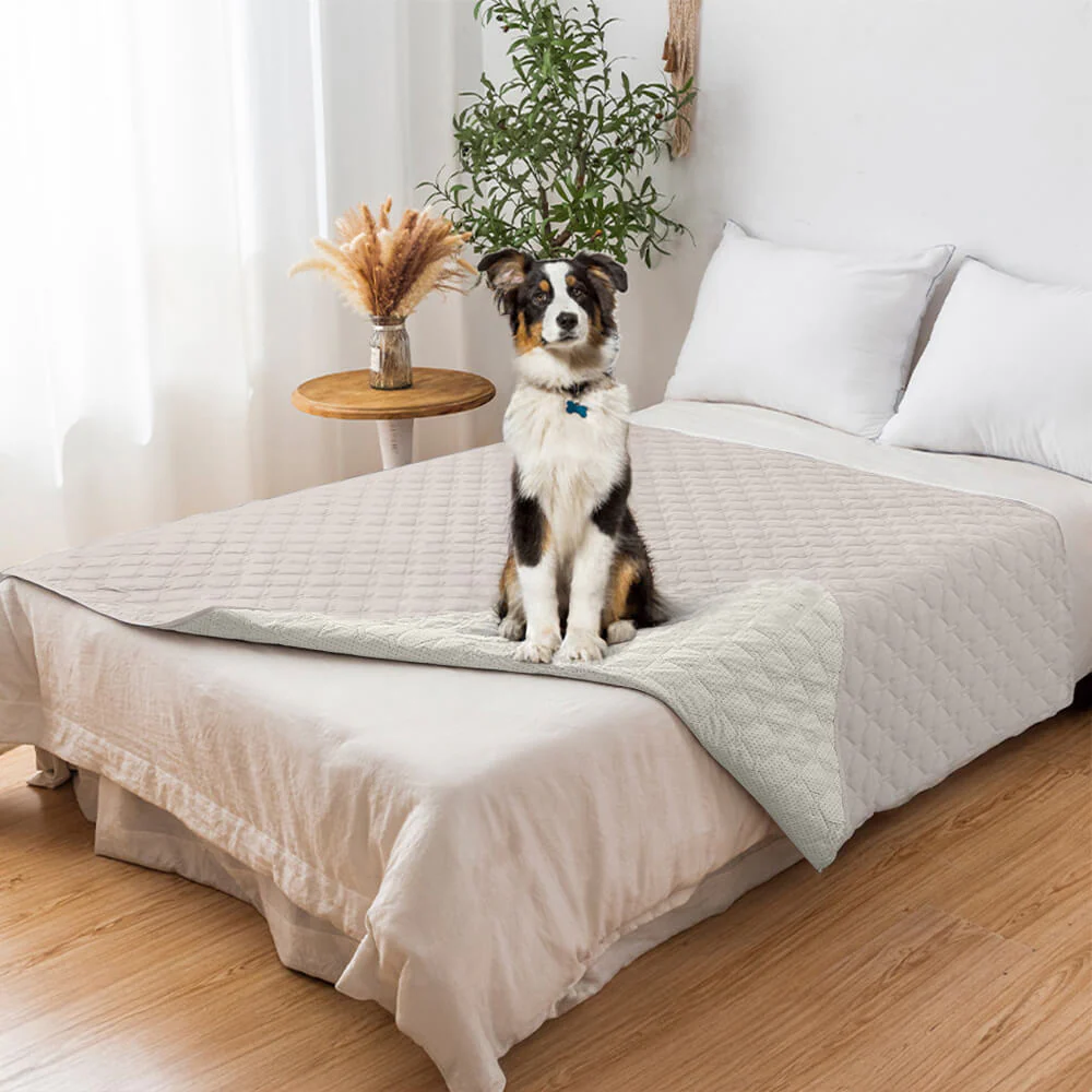 Housse de canapé matelassée en losanges imperméable et antidérapante pour animaux de compagnie – Protection élégante des meubles - Image 8