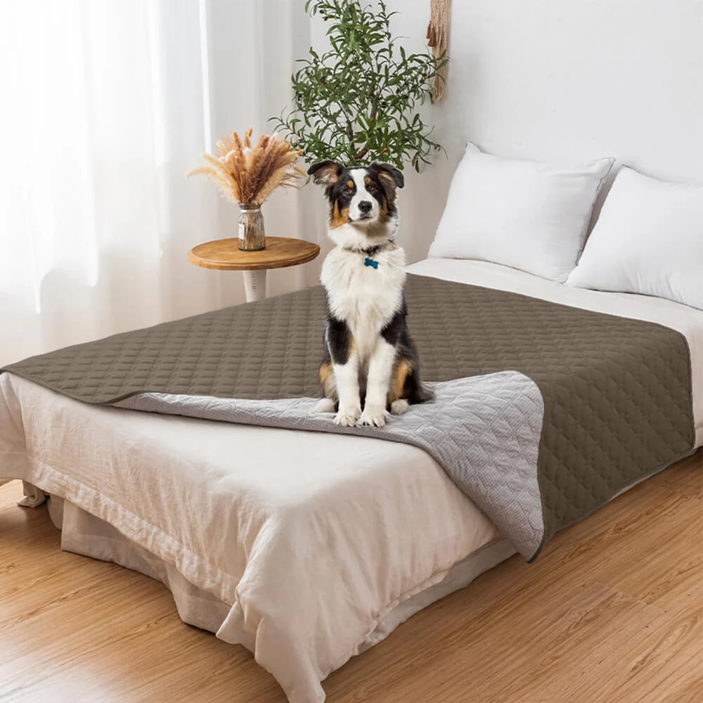 Housse de canapé matelassée en losanges imperméable et antidérapante pour animaux de compagnie – Protection élégante des meubles - Image 9