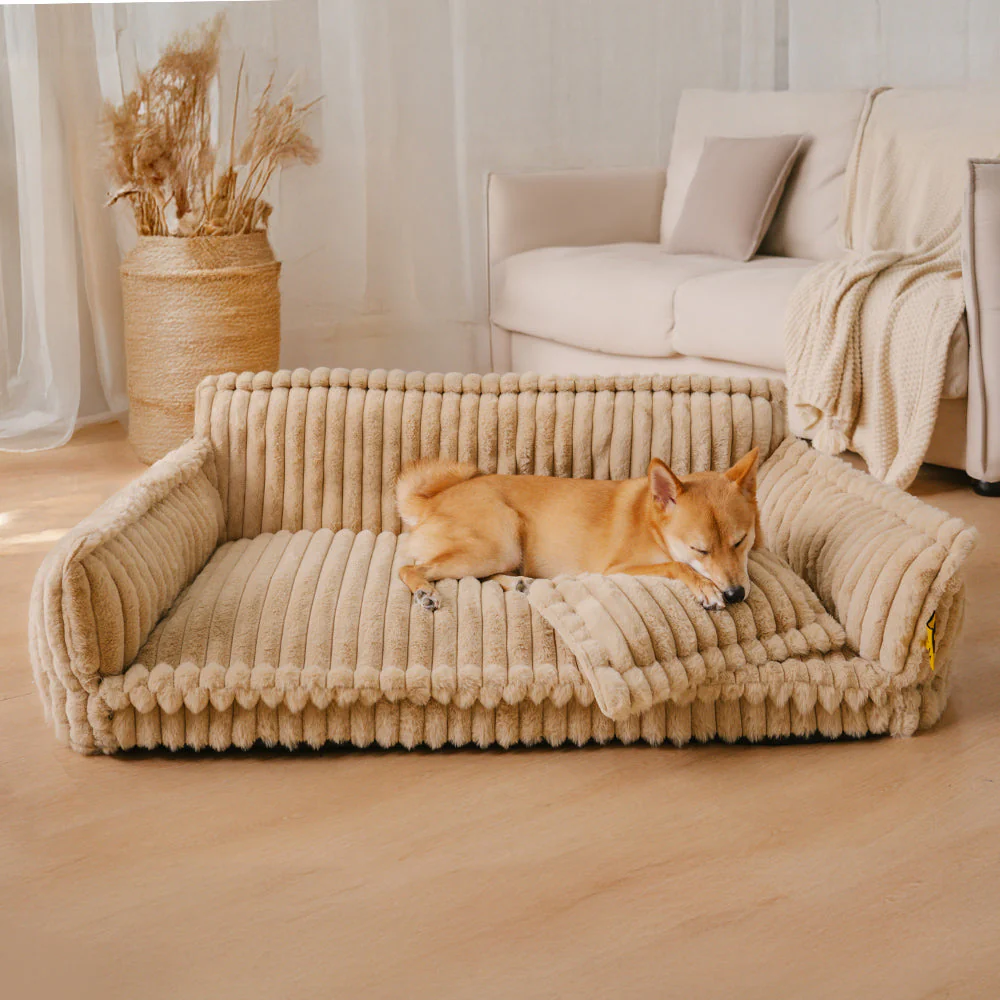Couverture de lit - Grand oreiller orthopédique lavable et moelleux pour chien - Image 12