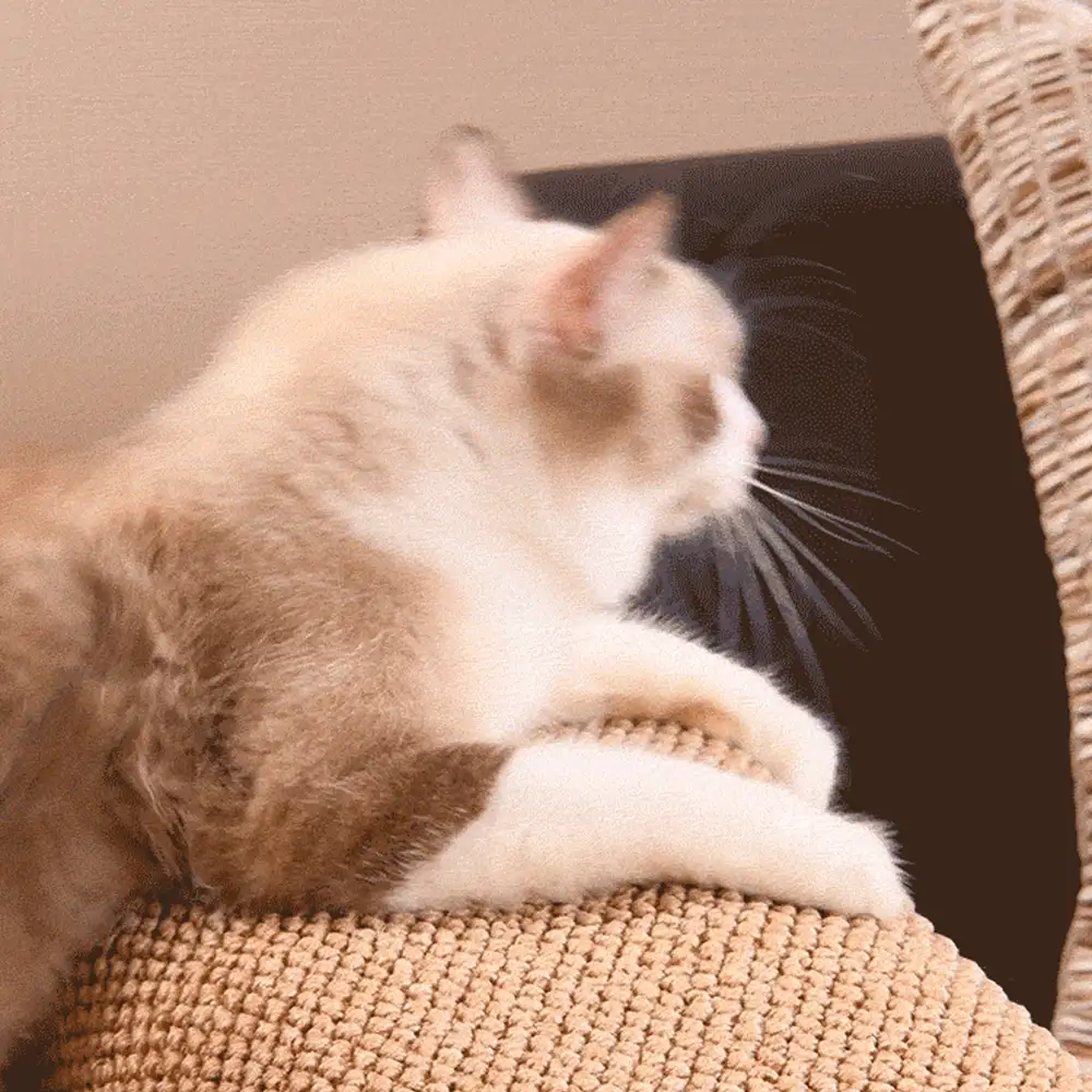 Housse de protection pour accoudoirs de canapé résistante aux griffes en sisal faux pour chats - Image 8