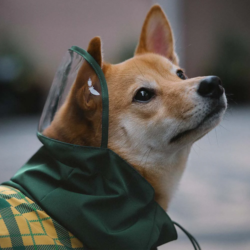 Imperméable ajustable pour chien à carreaux vintage protection contre les intempéries - Image 14