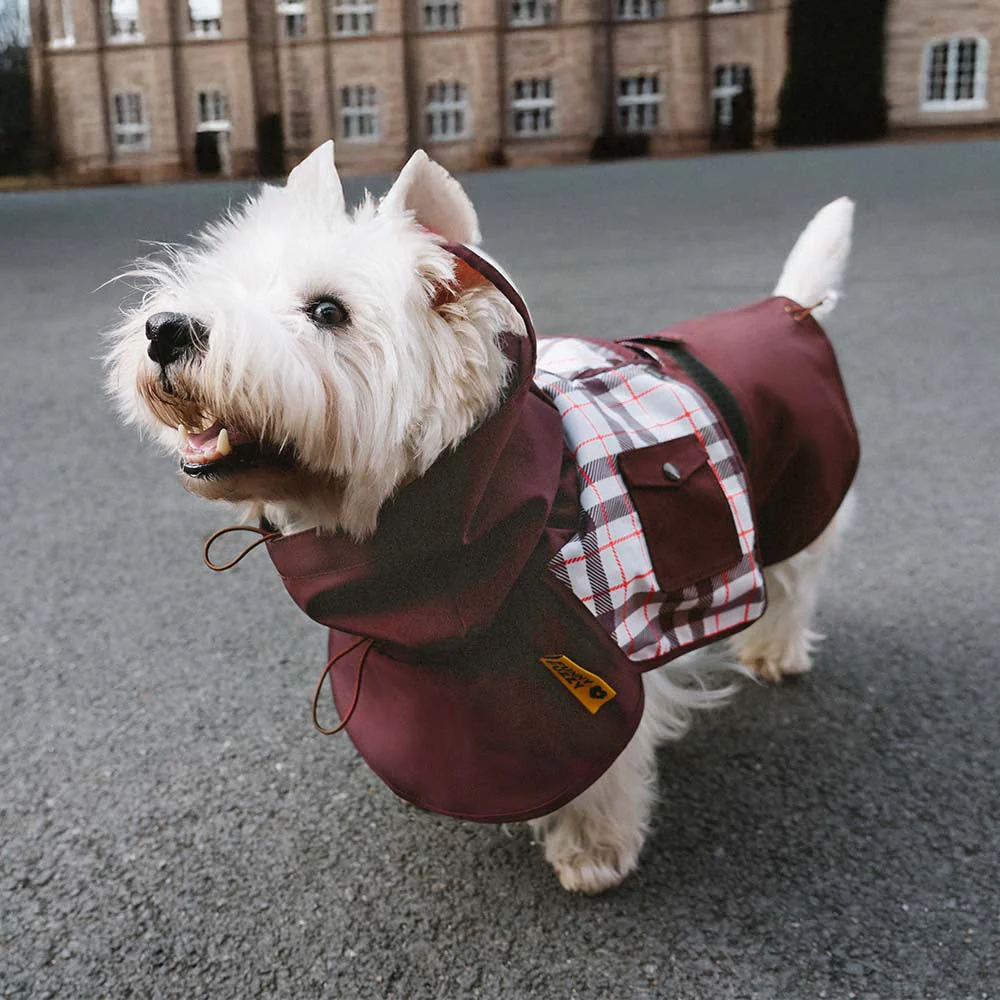 Imperméable ajustable pour chien à carreaux vintage protection contre les intempéries - Image 2