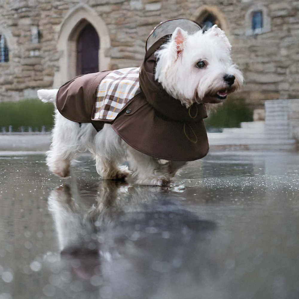 Imperméable ajustable pour chien à carreaux vintage protection contre les intempéries - Image 3