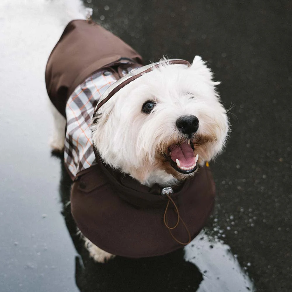 Imperméable ajustable pour chien à carreaux vintage protection contre les intempéries - Image 5
